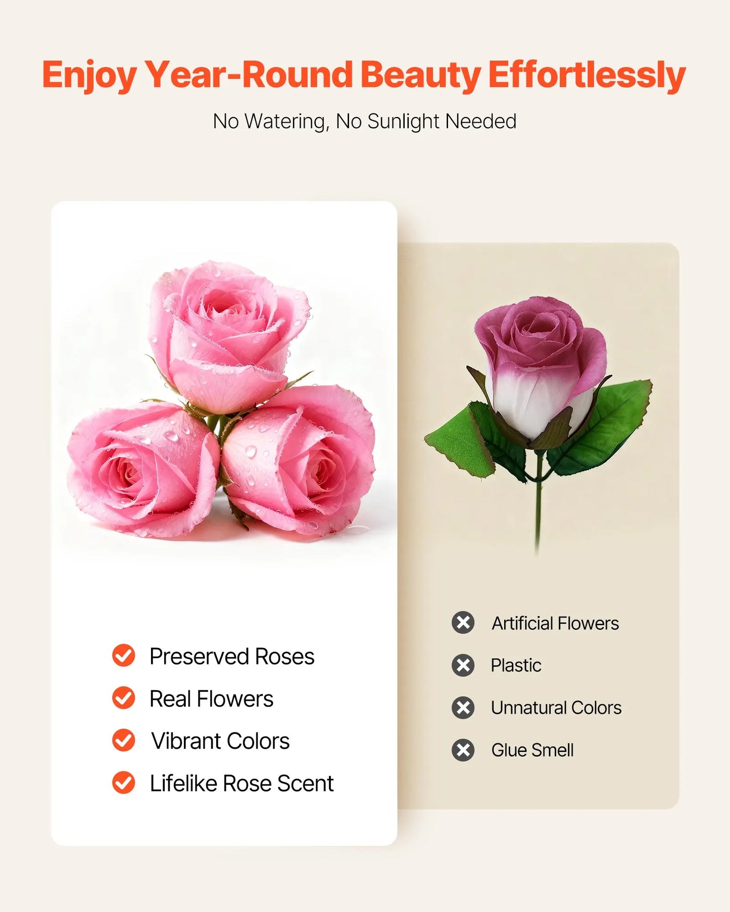 NONECN Forever Flowers 50 Preserved Roses In A Box Bouquet