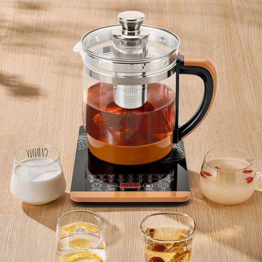Electric Glass Tea Kettle With Keep Warm And BPA Free