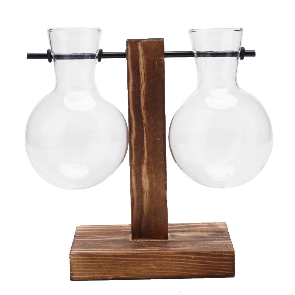 Alloyseed Bonsai Glass Plant Terrarium Propagation Station Vase