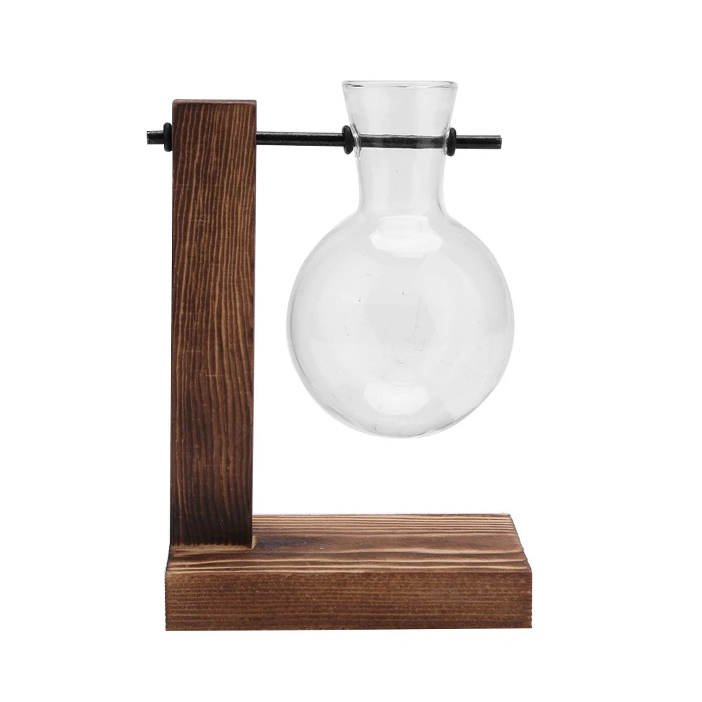 Alloyseed Bonsai Glass Plant Terrarium Propagation Station Vase