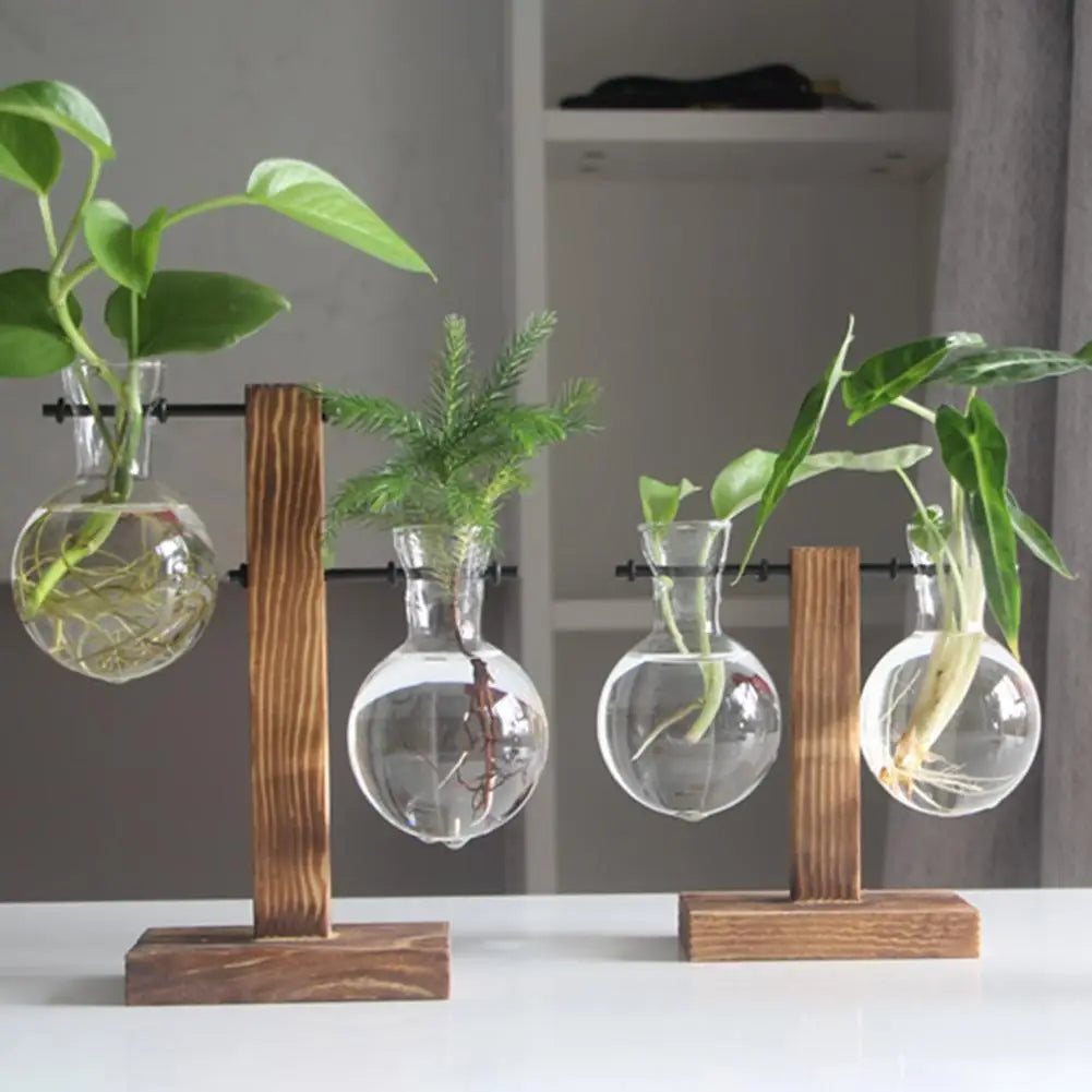 Alloyseed Bonsai Glass Plant Terrarium Propagation Station Vase