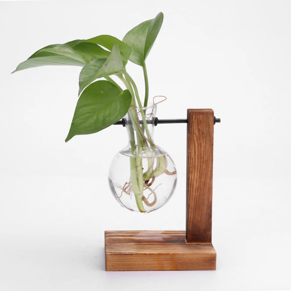 Alloyseed Bonsai Glass Plant Terrarium Propagation Station Vase