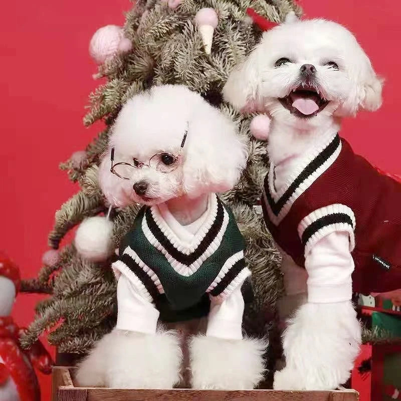 Winter Warm Dog Sweater College Style V Neck Knitwear Dogs