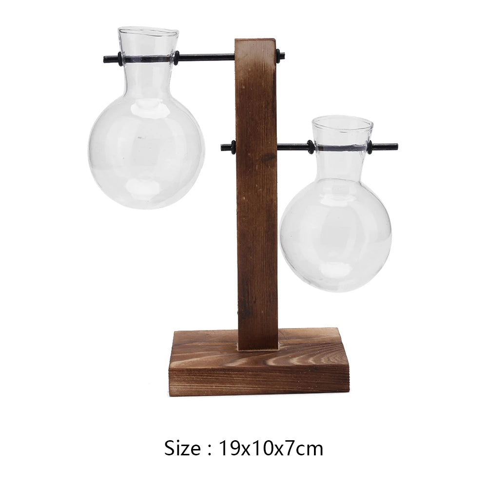 Alloyseed Bonsai Glass Plant Terrarium Propagation Station Vase