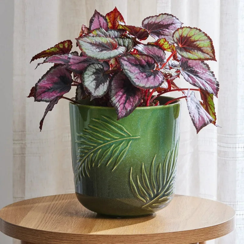Porcelain Planter With Botanical Design For Indoor And Outdoor Use