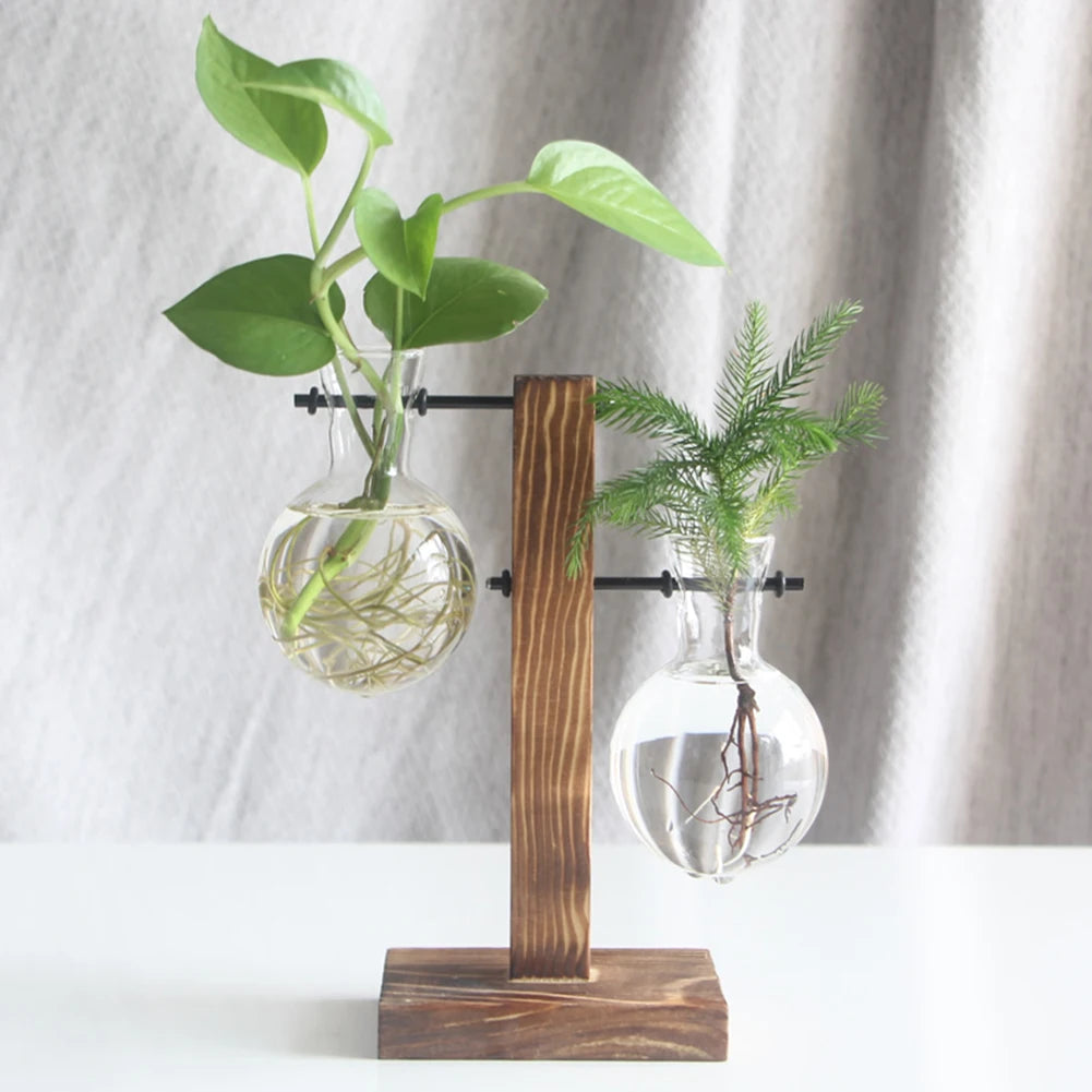 Alloyseed Bonsai Glass Plant Terrarium Propagation Station Vase