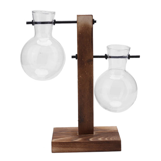 Alloyseed Bonsai Glass Plant Terrarium Propagation Station Vase